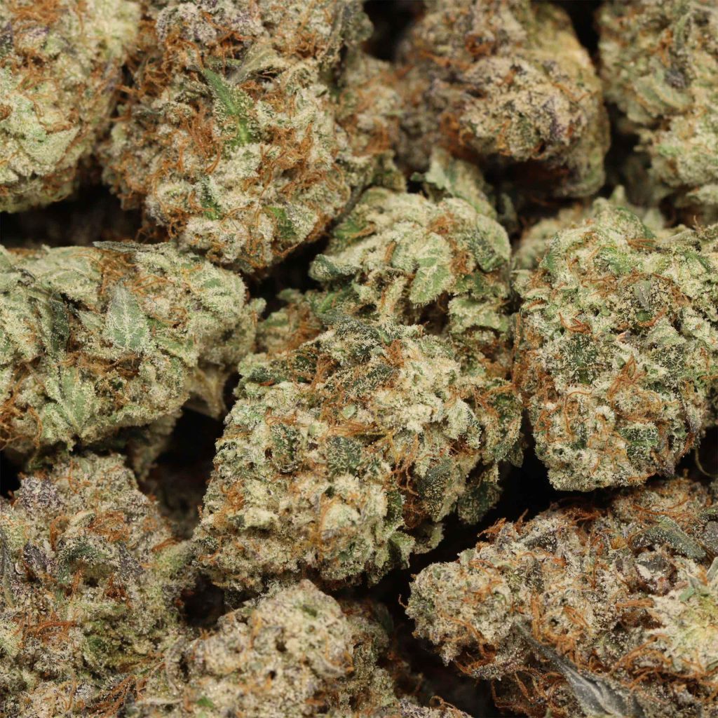 buy bulk cannabis online