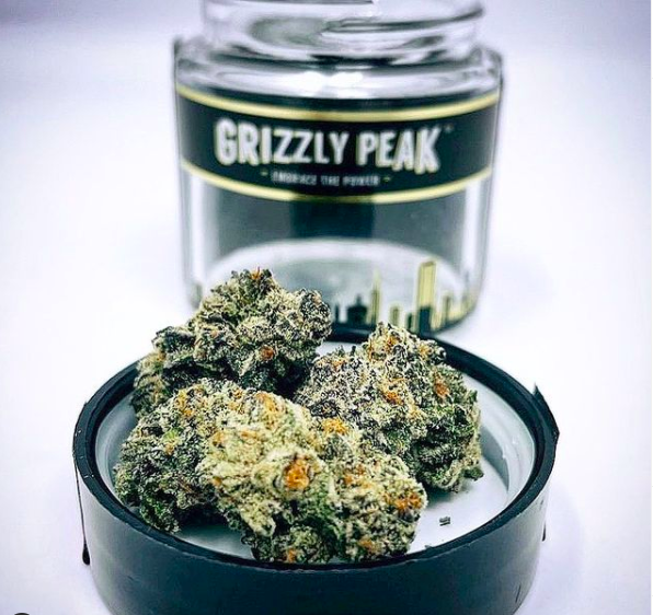 Indica vs Sativa vs Hybrid cannabis strains comparison showing effects, benefits, and characteristics