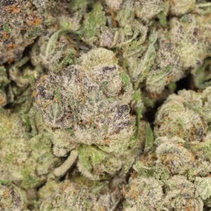Ayahuasca Purple