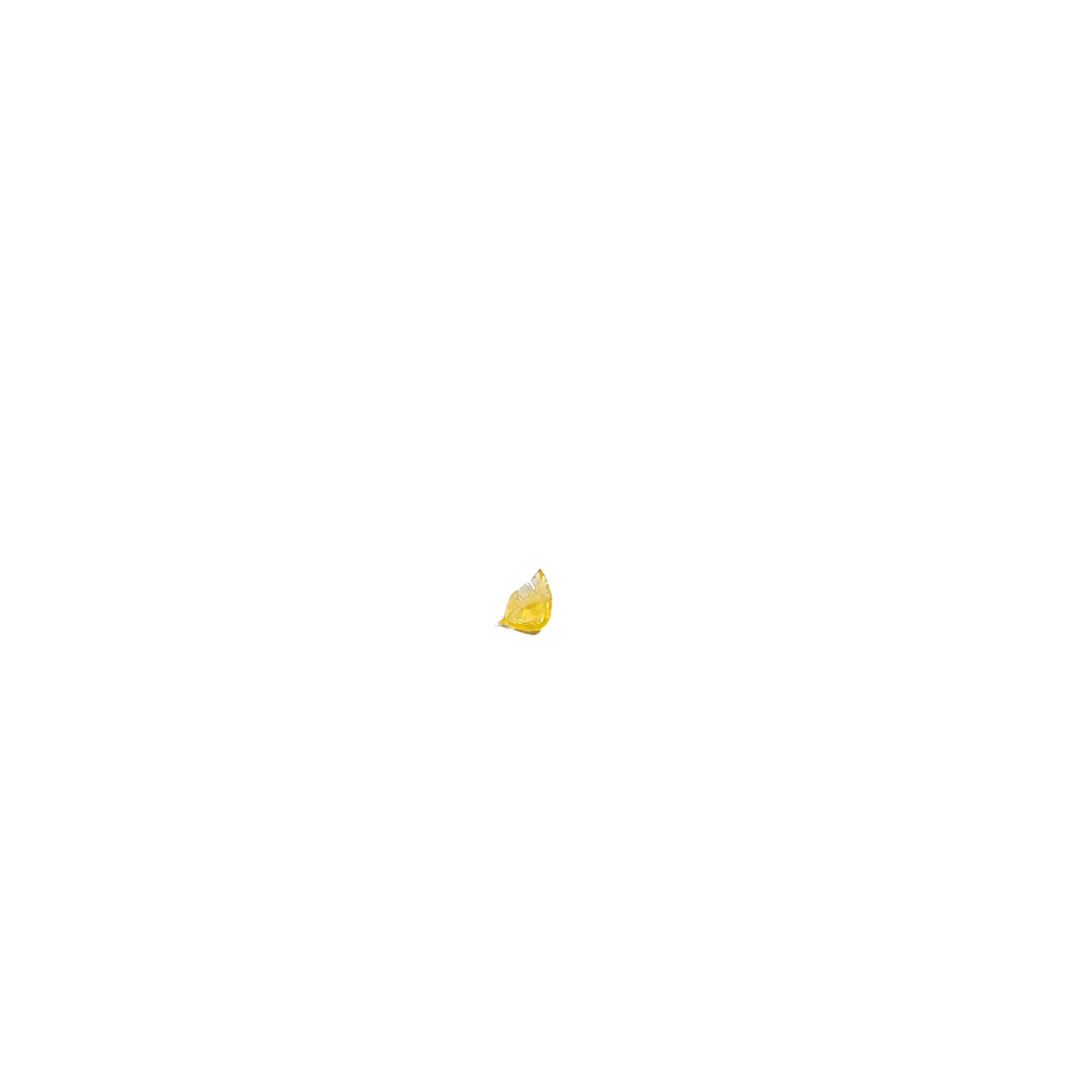 Dr. Who Shatter