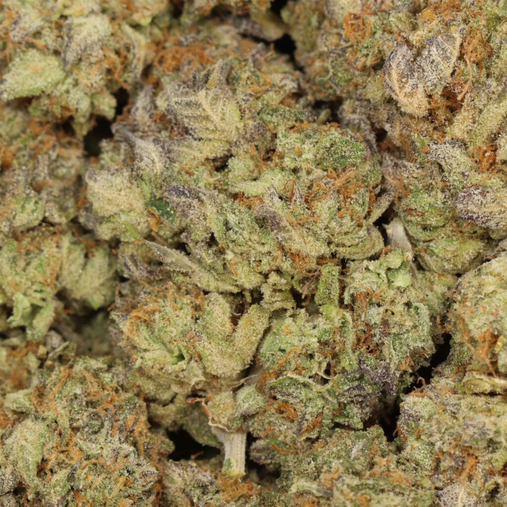 Ultimate How to Buy Bulk Weed Online Guide 2026 How to Buy Bulk Weed Online - quality cannabis flower consumer guide