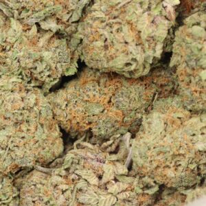 Dank Sinatra strain