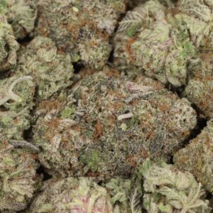 Grand Daddy Purple AAAA+